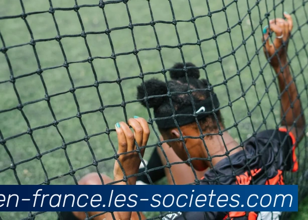 平台生态图